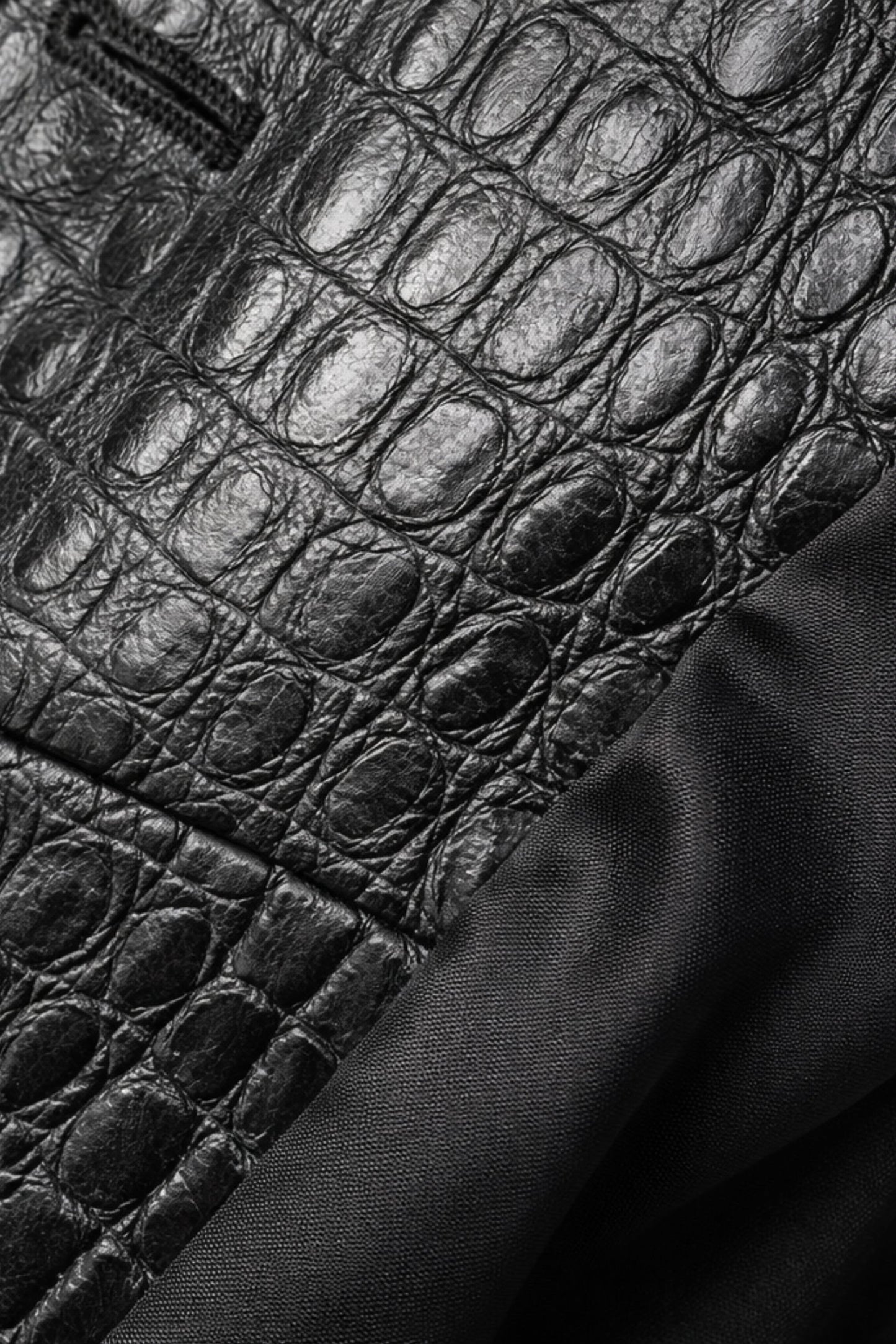 mock-croc details
