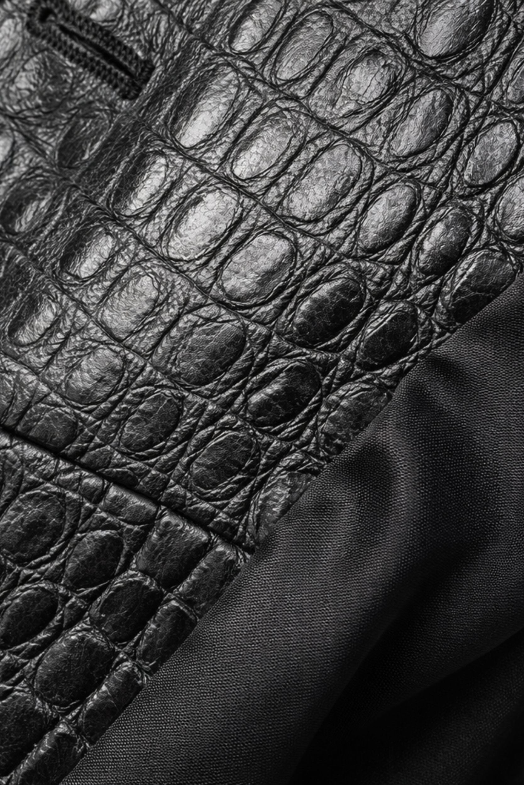 mock-croc details