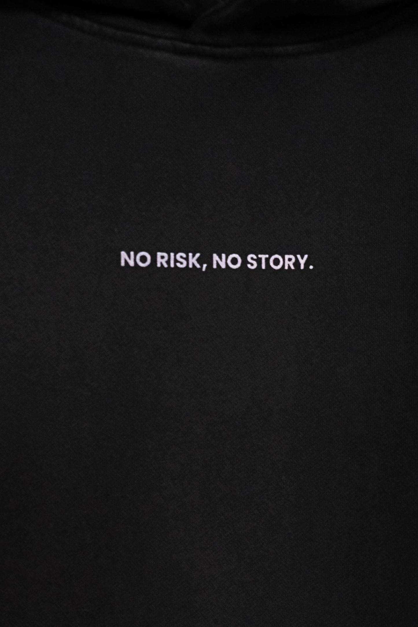 Organic Cotton Unisex No Risk No Story Hoodie by Frya Studios