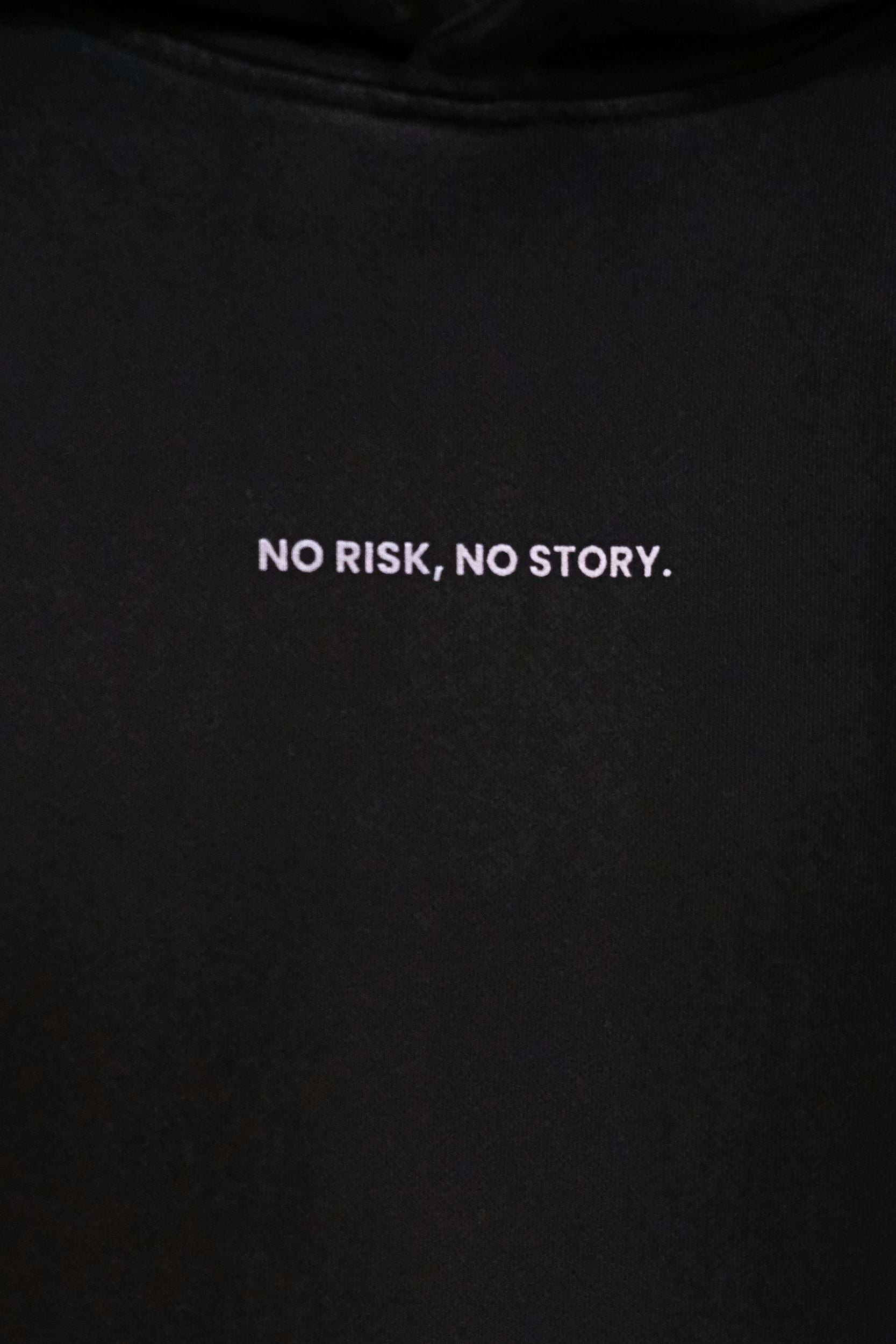 Organic Cotton Unisex No Risk No Story Hoodie by Frya Studios